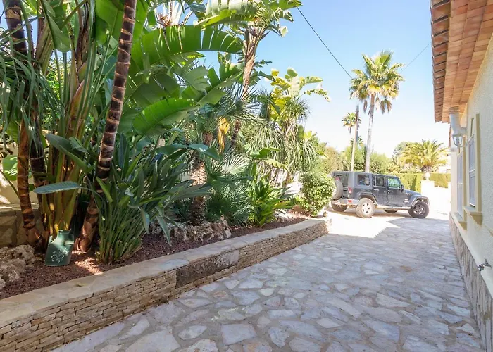 Ana Sofia Costa Carpediem *